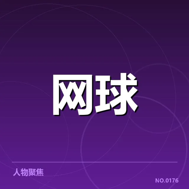 已确认的伤情与康复计划细节